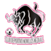 https://img.xwyl.com.cn/img/football/team/97c3ef30cac48cadff97605e387feefa.png